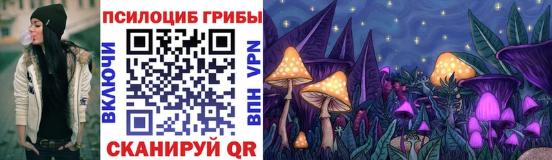 mega зеркало  где купить наркоту  Углегорск  Галлюциногенные грибы мицелий 